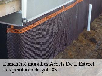 Etanchéité murs  83600