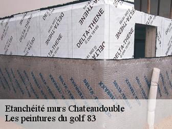 Etanchéité murs  chateaudouble-83300 Les peintures du golf 83