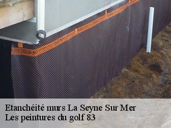 Etanchéité murs  83500