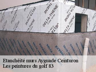 Etanchéité murs ayguade-ceinturon-83400 Les peintures du golf 83