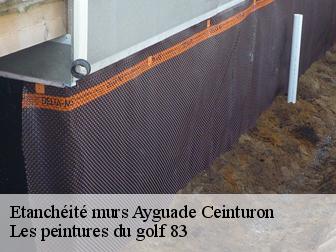 Etanchéité murs 83400