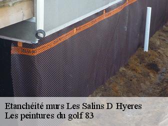 Etanchéité murs 83400