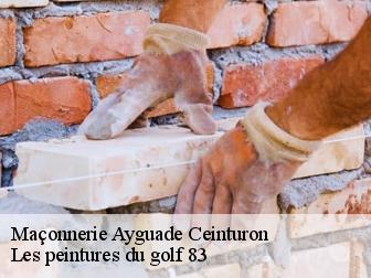 Maçonnerie ayguade-ceinturon-83400 Les peintures du golf 83