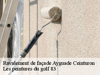 Ravalement de façade ayguade-ceinturon-83400 Les peintures du golf 83