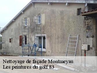 Nettoyage de façade 83670