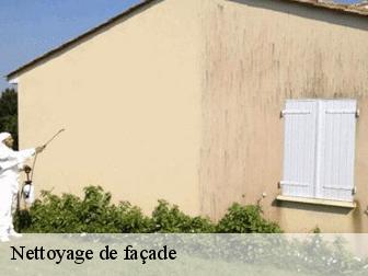Nettoyage de façade
