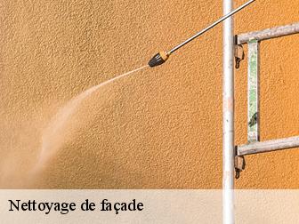 Nettoyage de façade 83820