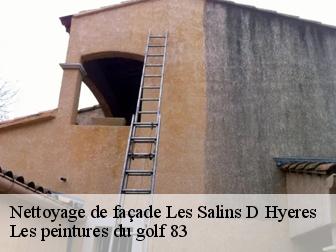 Nettoyage de façade les-salins-d-hyeres-83400 Les peintures du golf 83