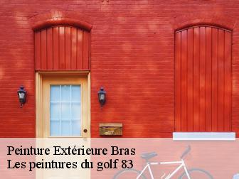 Peinture Extérieure