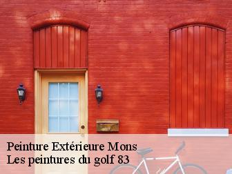 Peinture Extérieure