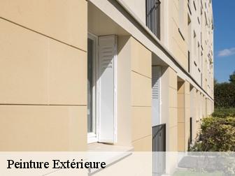 Peinture Extérieure
