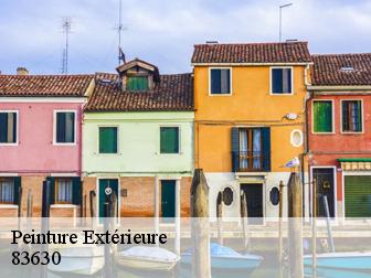 Peinture Extérieure 83630