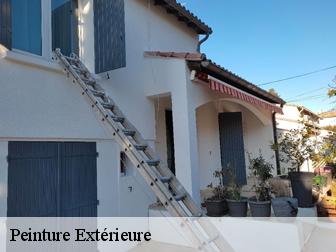 Peinture Extérieure