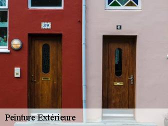 Peinture Extérieure 83500