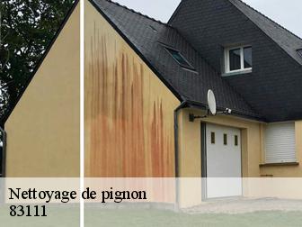 Nettoyage de pignon 83111