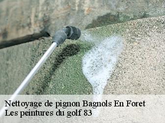 Nettoyage de pignon  bagnols-en-foret-83600 Les peintures du golf 83