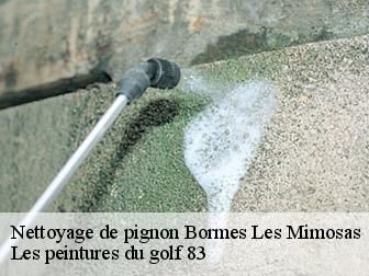 Nettoyage de pignon bormes-les-mimosas-83230 Les peintures du golf 83