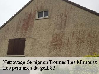Nettoyage de pignon 83230