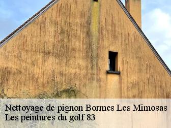 Nettoyage de pignon