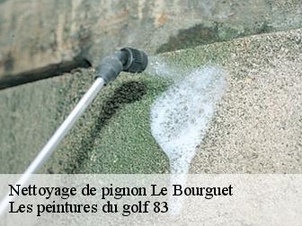 Nettoyage de pignon le-bourguet-83840 Les peintures du golf 83