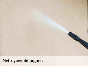 Nettoyage de pignon 83840