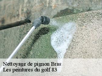Nettoyage de pignon bras-83149 Les peintures du golf 83