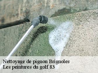 Nettoyage de pignon brignoles-83170 Les peintures du golf 83
