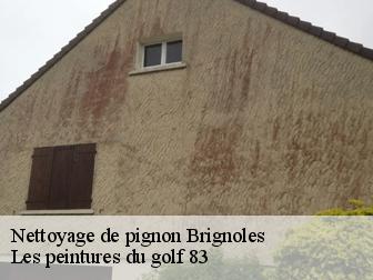 Nettoyage de pignon 83170