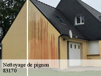 Nettoyage de pignon 83170