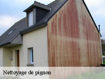 Nettoyage de pignon