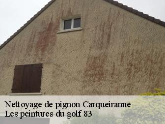 Nettoyage de pignon 83320