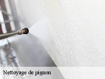 Nettoyage de pignon