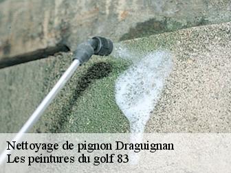 Nettoyage de pignon draguignan-83300 Les peintures du golf 83