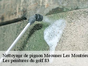 Nettoyage de pignon meounes-les-montrieux-83136 Les peintures du golf 83