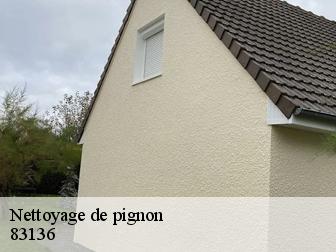 Nettoyage de pignon 83136