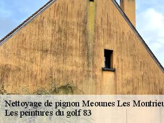 Nettoyage de pignon