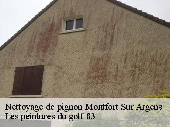 Nettoyage de pignon 83570
