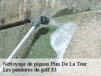 Nettoyage de pignon plan-de-la-tour-83120 Les peintures du golf 83