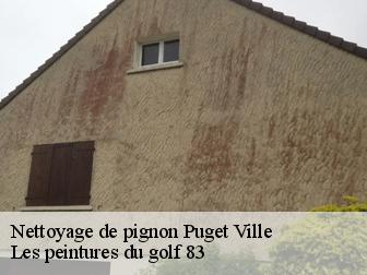 Nettoyage de pignon 83390
