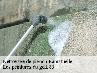Nettoyage de pignon ramatuelle-83350 Les peintures du golf 83