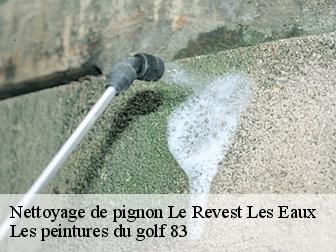 Nettoyage de pignon le-revest-les-eaux-83200 Les peintures du golf 83