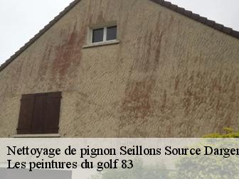 Nettoyage de pignon  83470