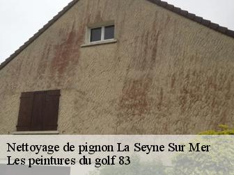 Nettoyage de pignon 83500