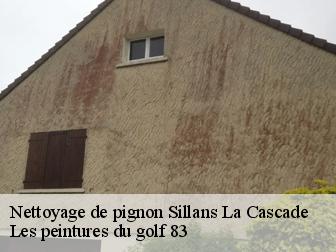Nettoyage de pignon  83690