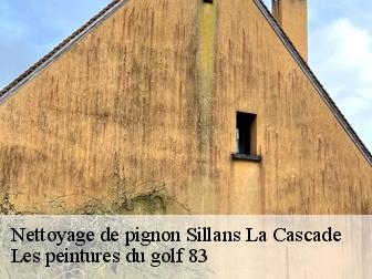 Nettoyage de pignon