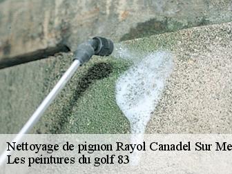 Nettoyage de pignon  rayol-canadel-sur-mer-83820 Les peintures du golf 83