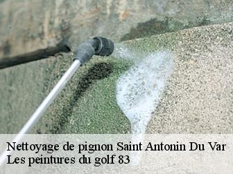 Nettoyage de pignon saint-antonin-du-var-83510 Les peintures du golf 83