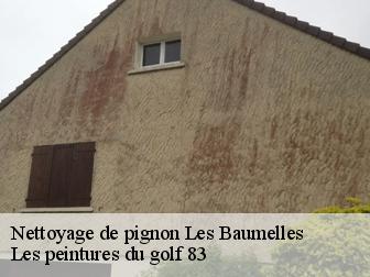 Nettoyage de pignon 83270