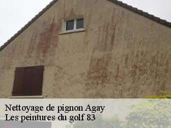 Nettoyage de pignon  83530
