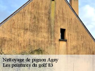 Nettoyage de pignon